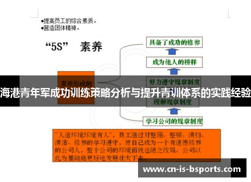 海港青年军成功训练策略分析与提升青训体系的实践经验