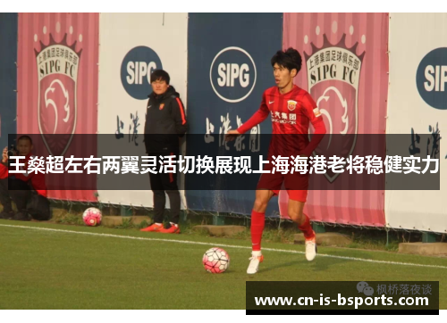 王燊超左右两翼灵活切换展现上海海港老将稳健实力