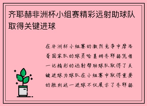 齐耶赫非洲杯小组赛精彩远射助球队取得关键进球